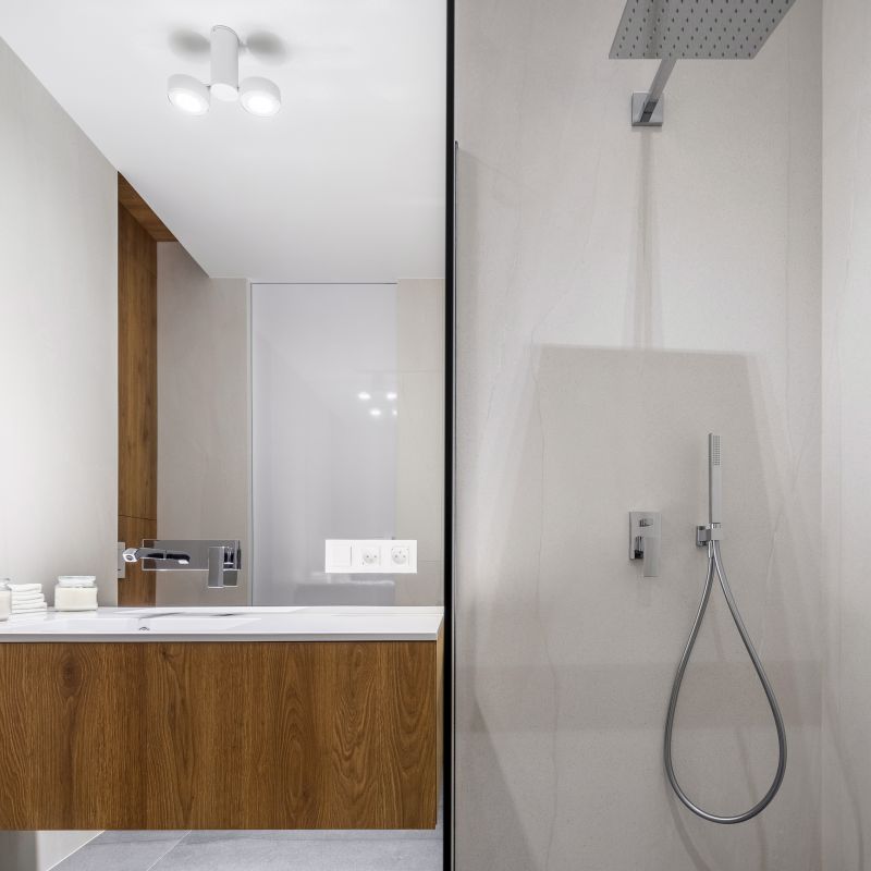 Sophisticated Shower Design